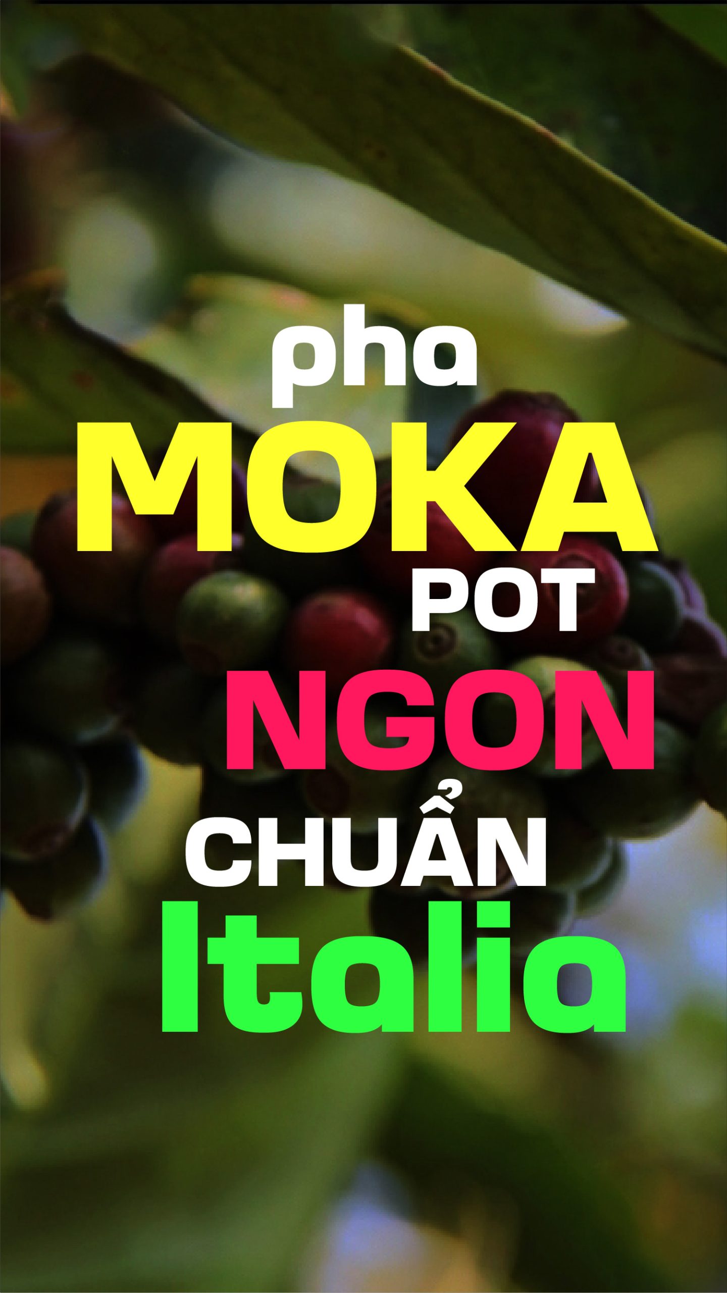 MOKA POT – Tách Cà Phê Ý Trong Bếp Việt